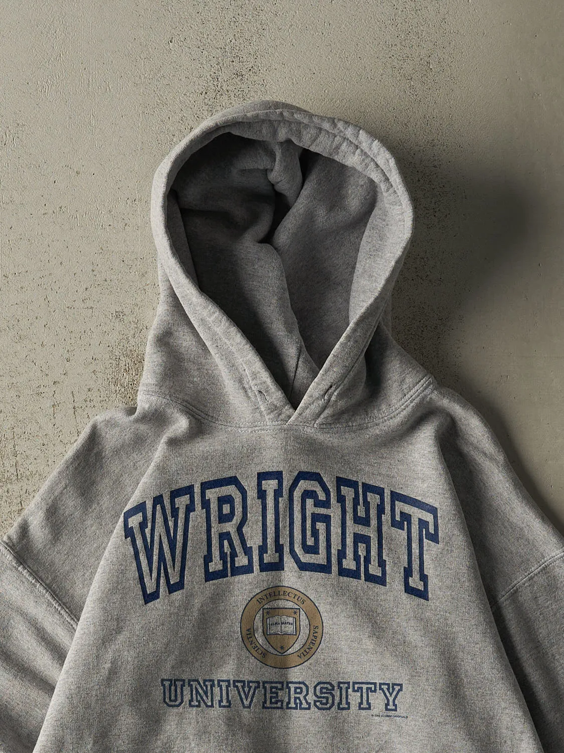 Vintage 02' Grey Wright University Hoodie (M/L) sold by Rebalance Vintage product image thumbnail 2