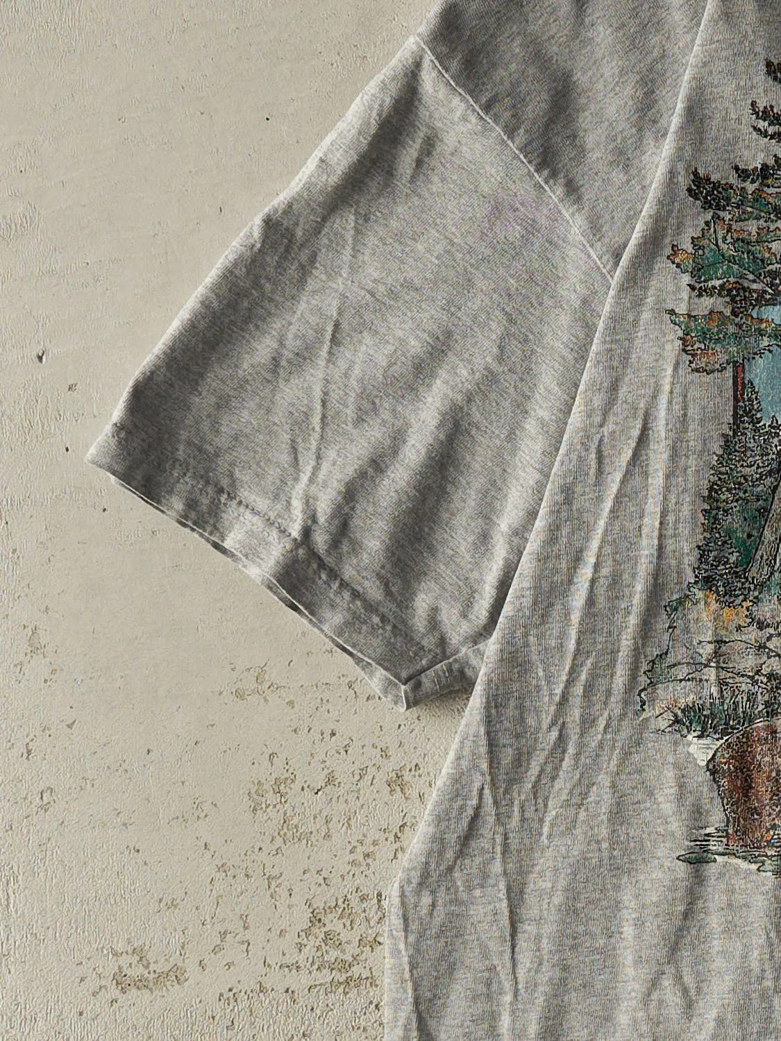 Vintage Y2K Grey Ontario Nature Tee (M/L) sold by Rebalance Vintage product image thumbnail 3
