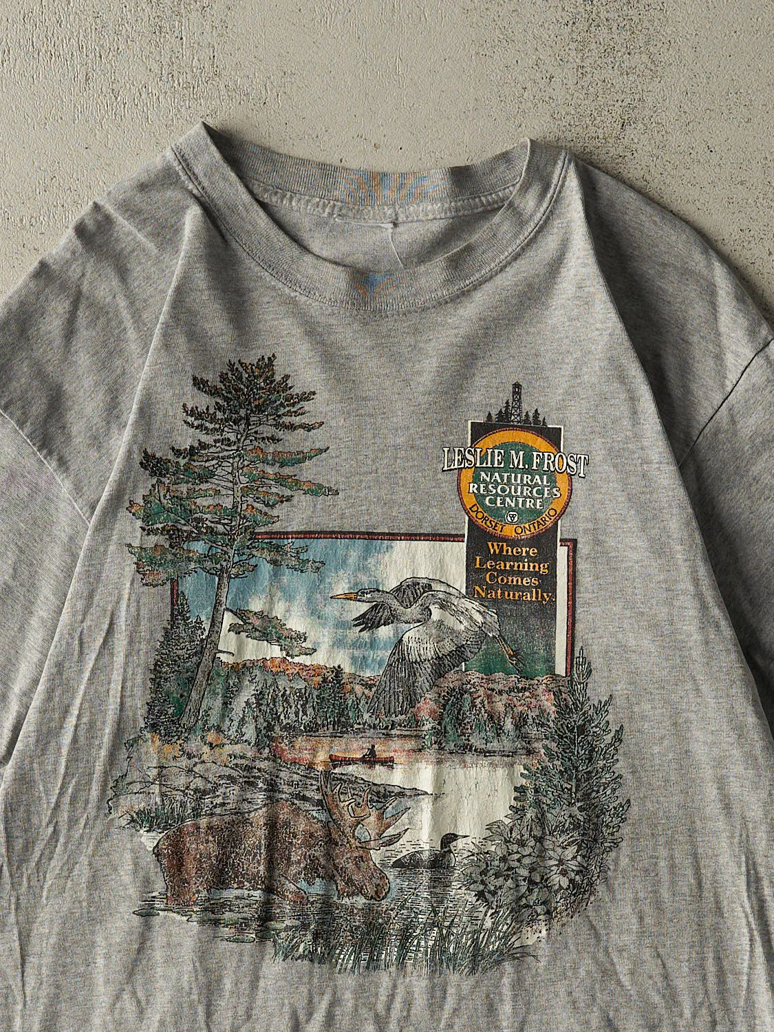 Vintage Y2K Grey Ontario Nature Tee (M/L) sold by Rebalance Vintage product image thumbnail 2