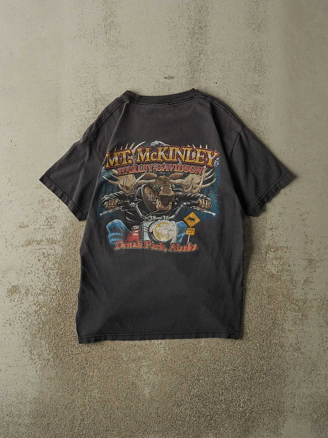 Vintage 13' Faded Black Harley Davidson Denali Park Alaska Tee (M/L) sold by Rebalance Vintage product image thumbnail 2
