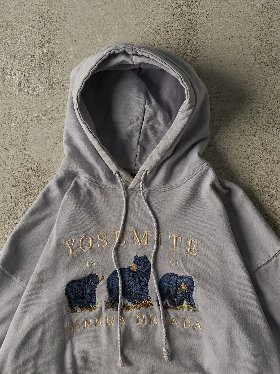 Vintage Y2K Blue Yosemite Embroidered Hoodie (XL/XXL) sold by Rebalance Vintage product image thumbnail 2