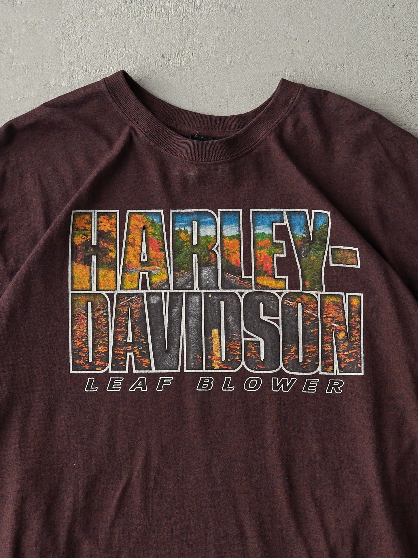 Vintage Brown Bangor Maine Harley Davidson Fall Tee (M) sold by Rebalance Vintage product image thumbnail 3