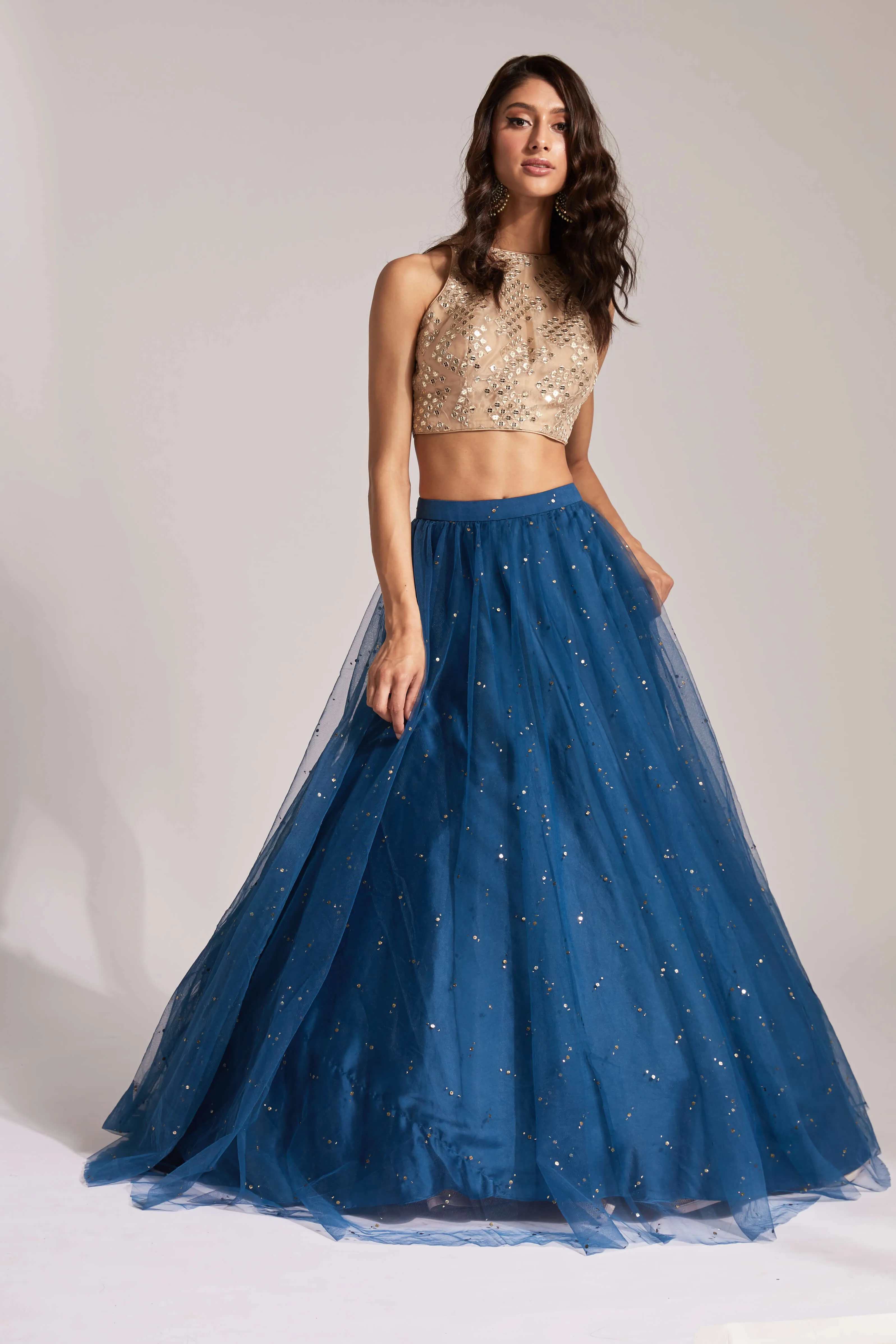 Detachable Tulle (Can Can) Skirt sold by Sani