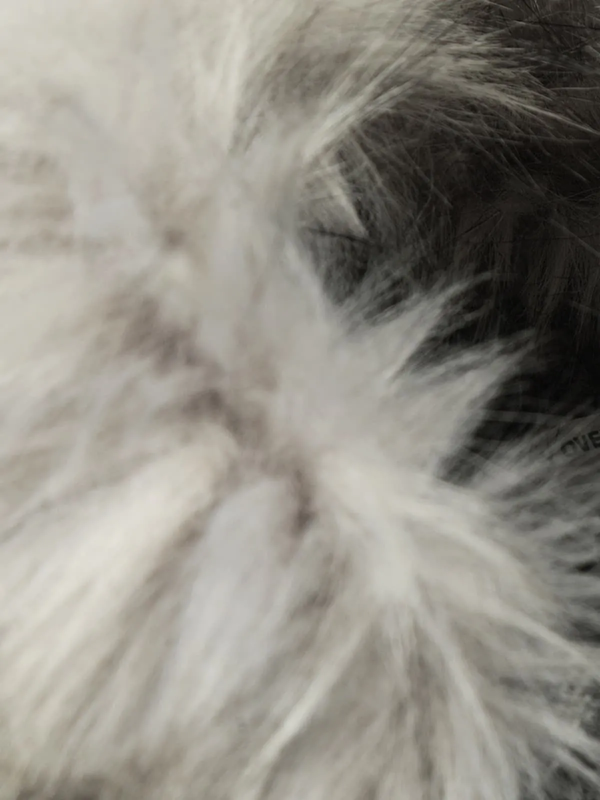 Retro Faux Fur Collar Wool Textured Zip Up Bomber Jacket sold by Thesupermade product image thumbnail 5