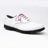Pink & Navy Classic Round Golf Laces sold by Whiskers Laces