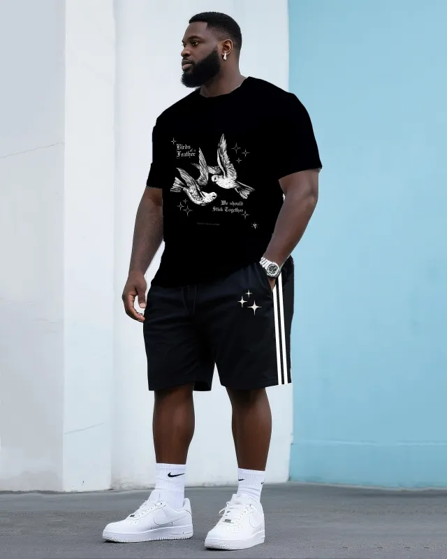 Big & Tall Men's Street Fashion Things Of A Feather Crew Neck T-shirt Shorts Suit sold by Biggmans