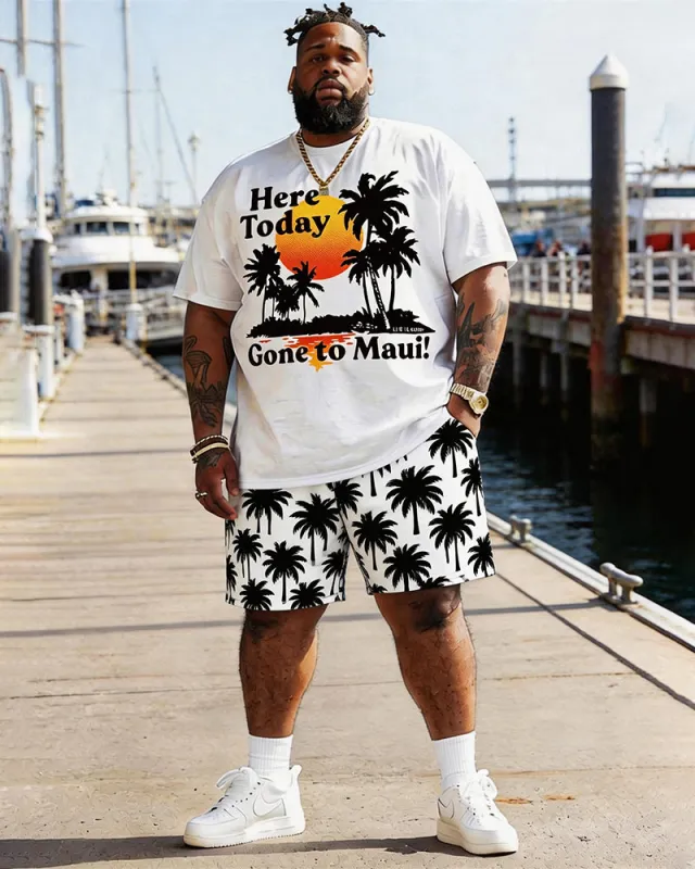 Big & Tall Men's Hawaiian Coconut Tree Sunset Print Round Neck Short Sleeve T-Shirt Shorts Set made by Biggmans