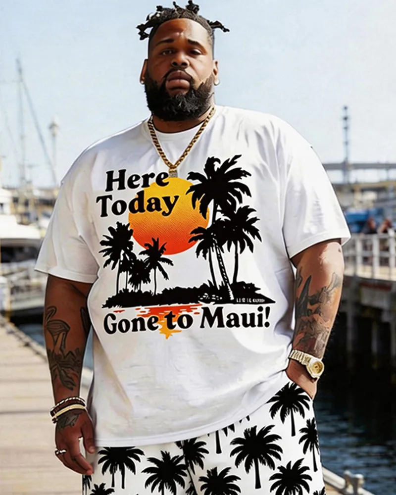 Big & Tall Men's Hawaiian Coconut Tree Sunset Print Round Neck Short Sleeve T-Shirt Shorts Set sold by Biggmans product image thumbnail 2