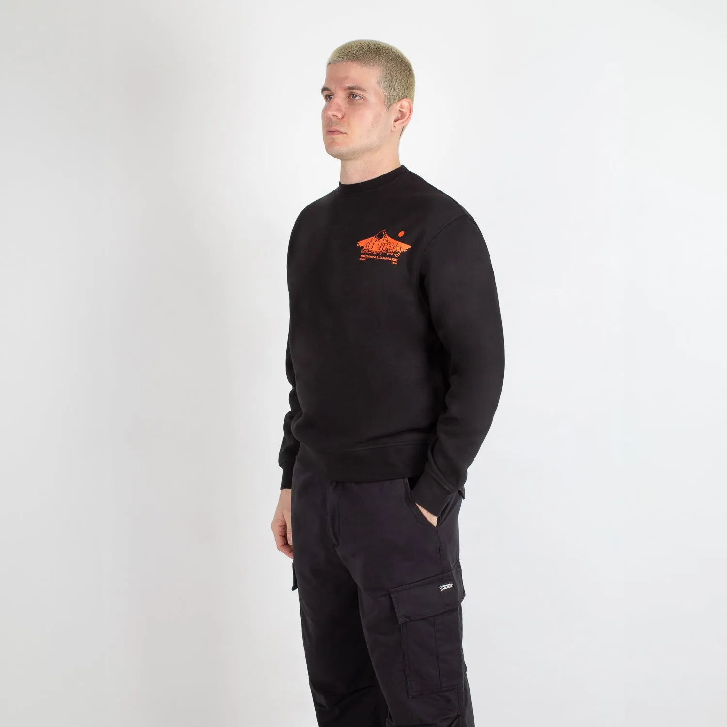 MOUNT TIGER SWEATSHIRT sold by Criminal Damage product image thumbnail 4
