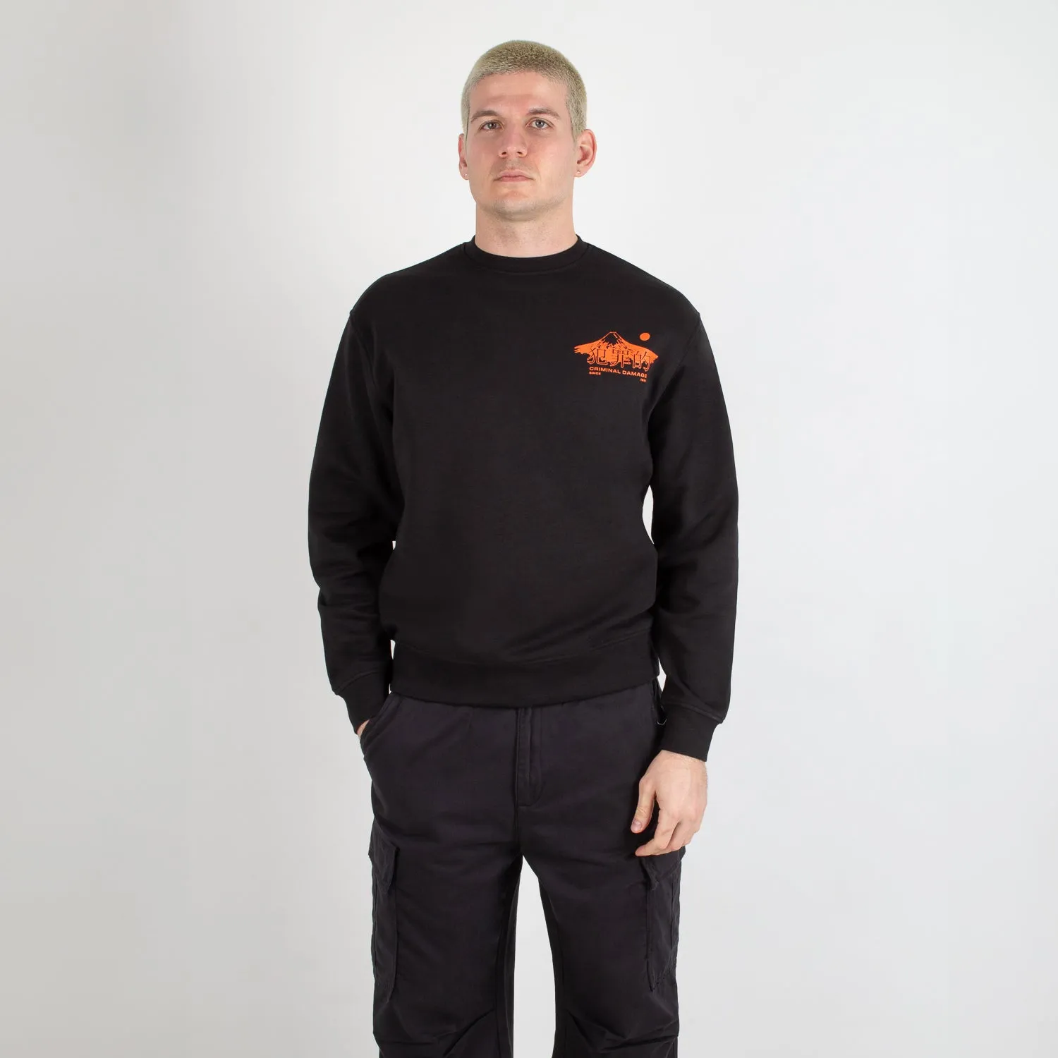 MOUNT TIGER SWEATSHIRT sold by Criminal Damage product image thumbnail 3