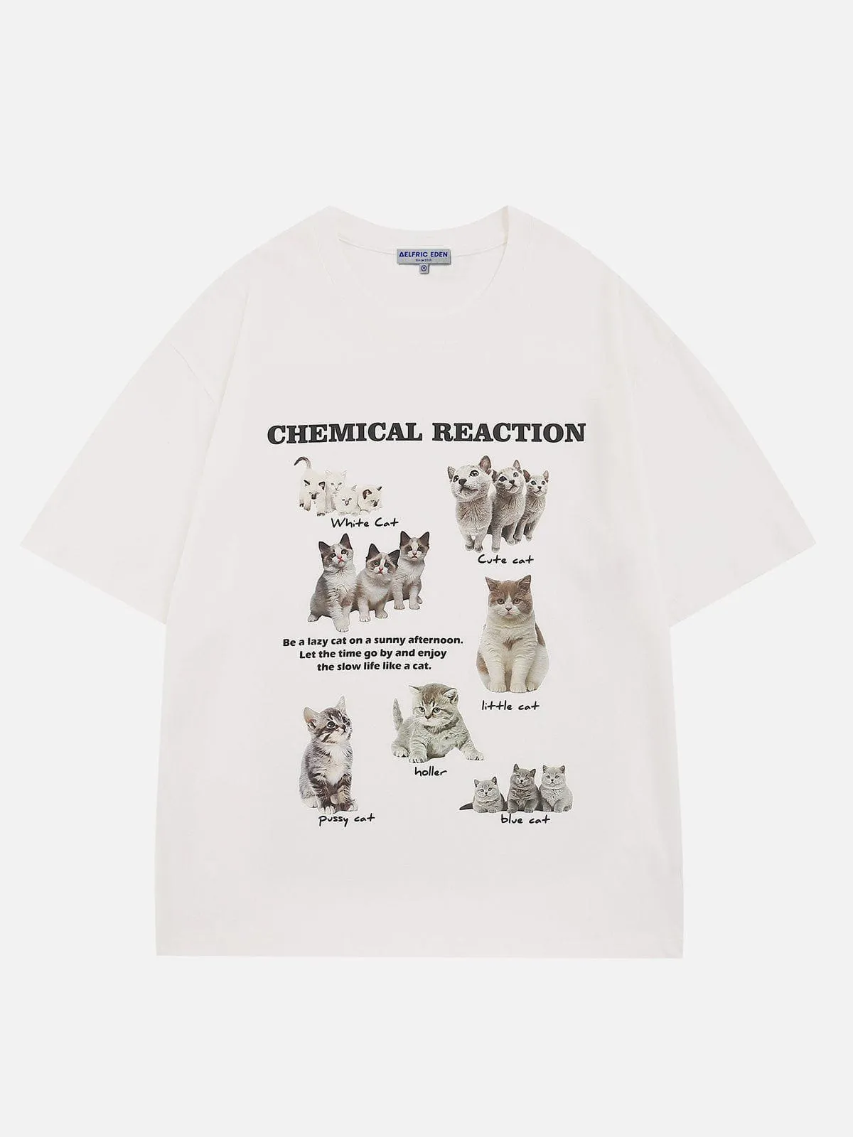 【Aelfric Eden】バーニング キャット プリント Tシャツ Aelfric Eden】バーニング キャット プリント Tシャツ Tシャツ