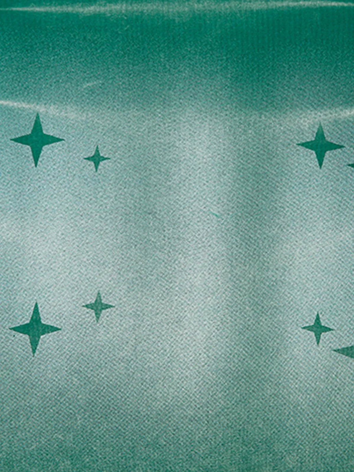 Aelfric Eden Star Washed Tee sold by Aelfric Eden product image thumbnail 5