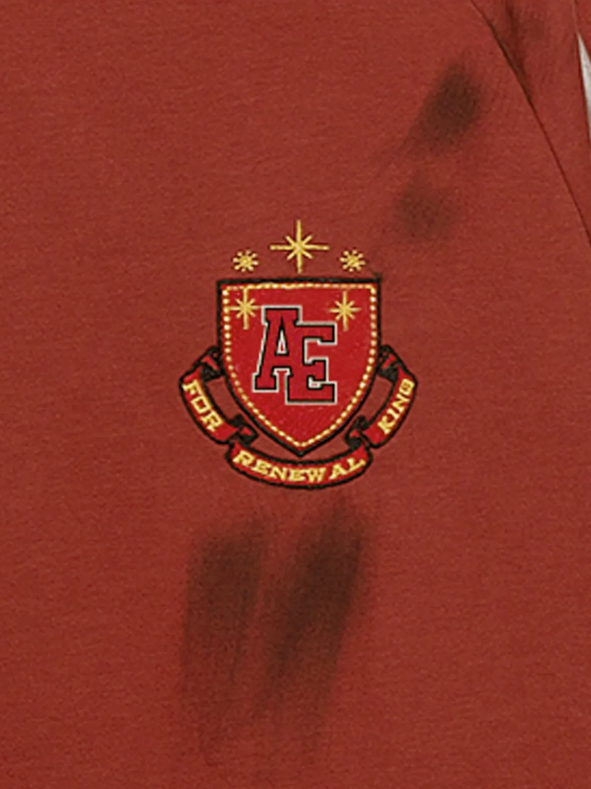 Aelfric Eden Dirt Color Athleisure Tee sold by Aelfric Eden product image thumbnail 4