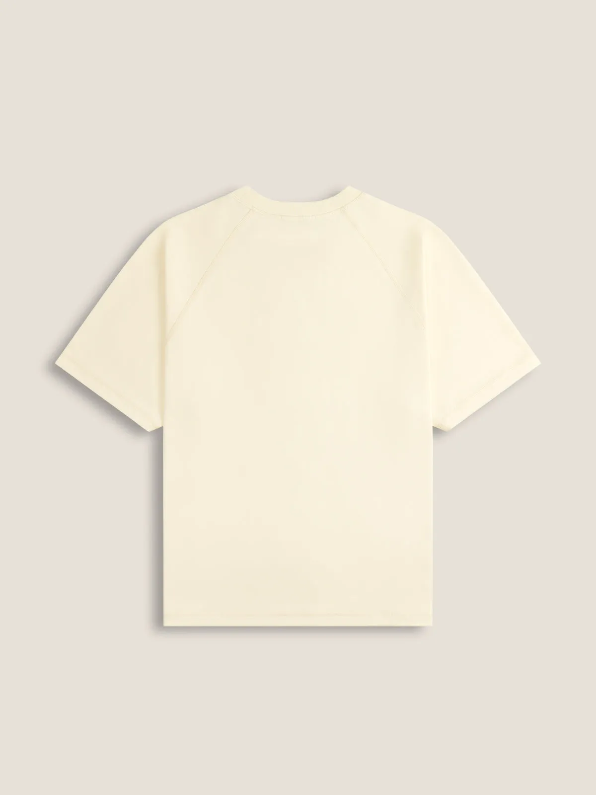 Aelfric Eden Essential Solid Reversible Tee sold by Aelfric Eden product image thumbnail 3