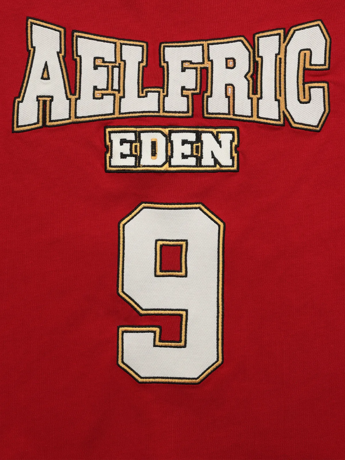 Aelfric Eden Color Blocking Embroidery Tee sold by Aelfric Eden product image thumbnail 3