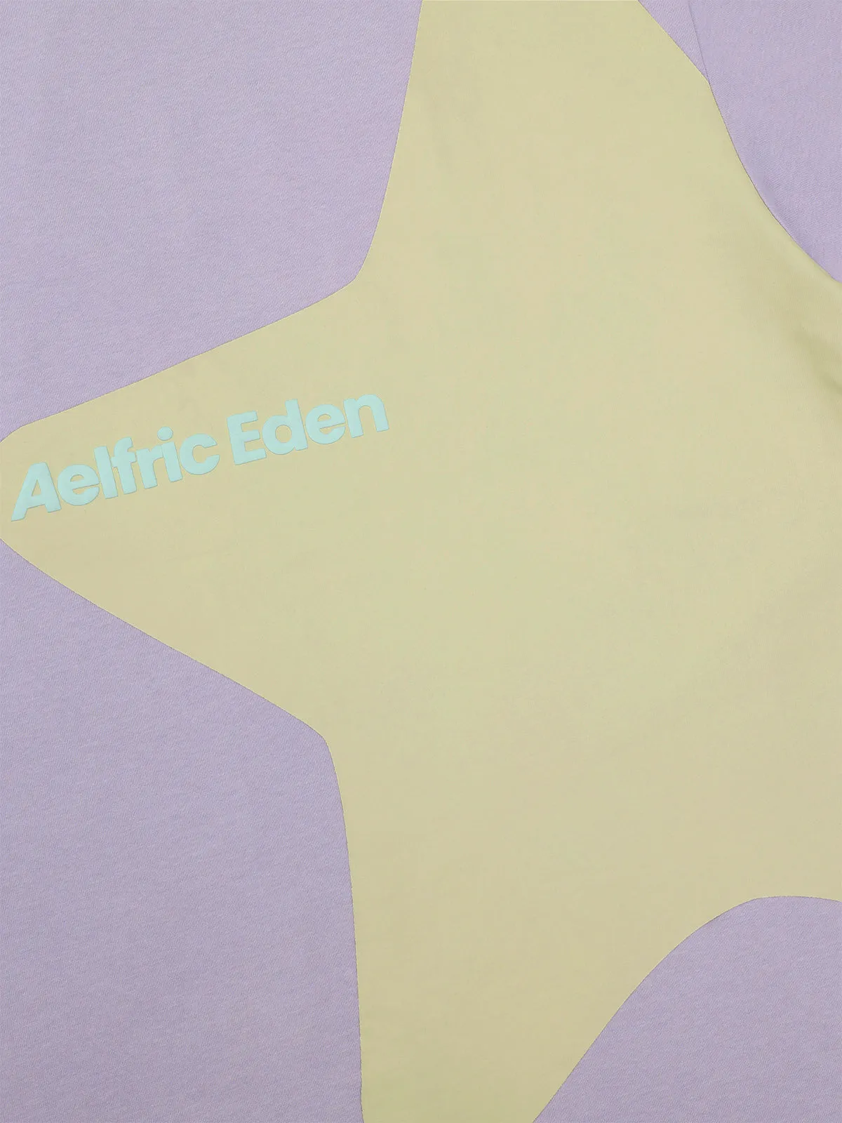 Aelfric Eden Incomplete Eden Star Tee sold by Aelfric Eden product image thumbnail 4