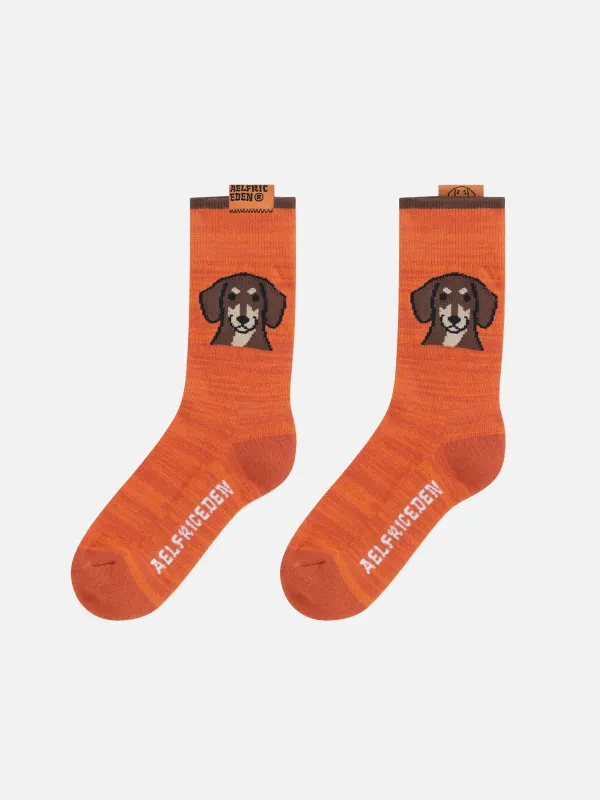 Graphic Knit Socks sold by Aelfric Eden