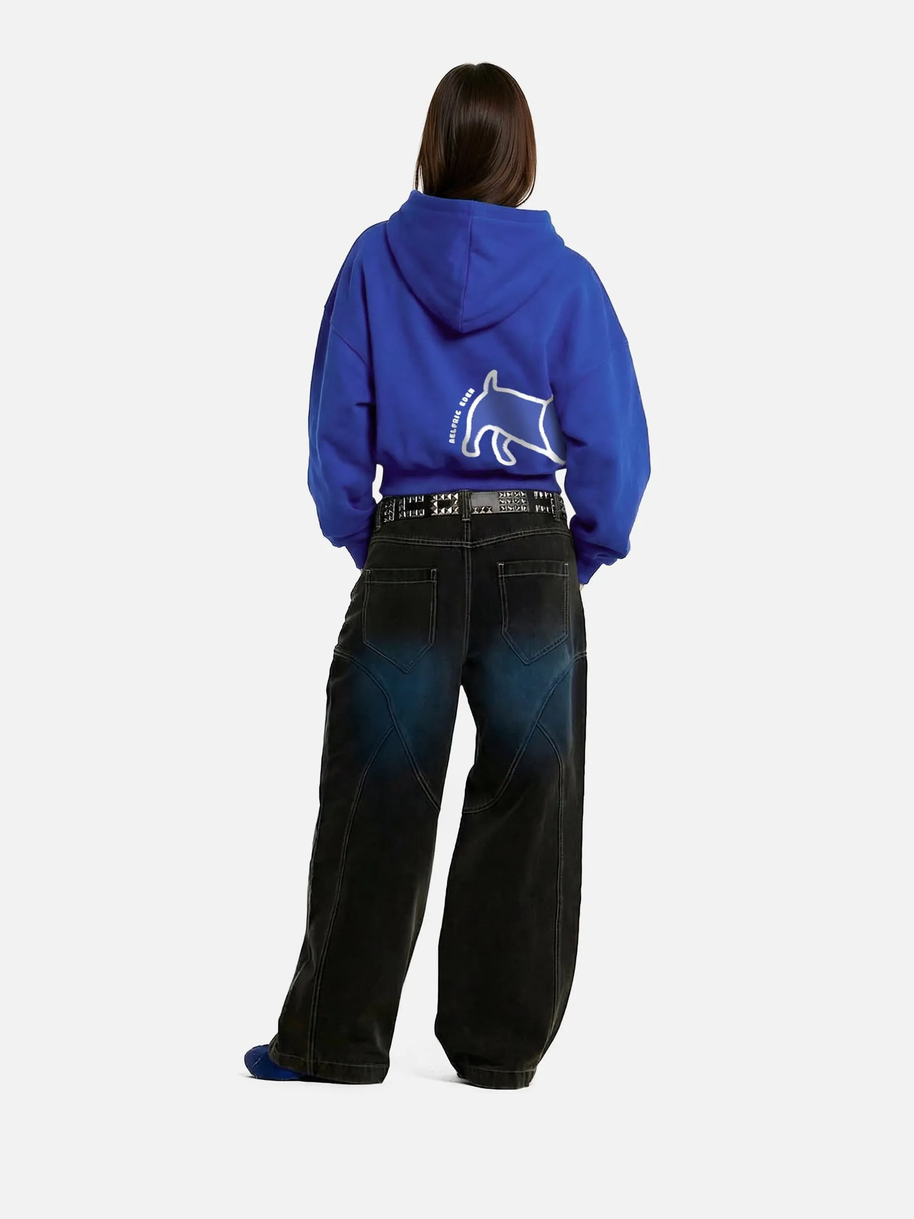 Aelfric Eden Boxy Dachshund Graphic Hoodie sold by Aelfric Eden product image thumbnail 3