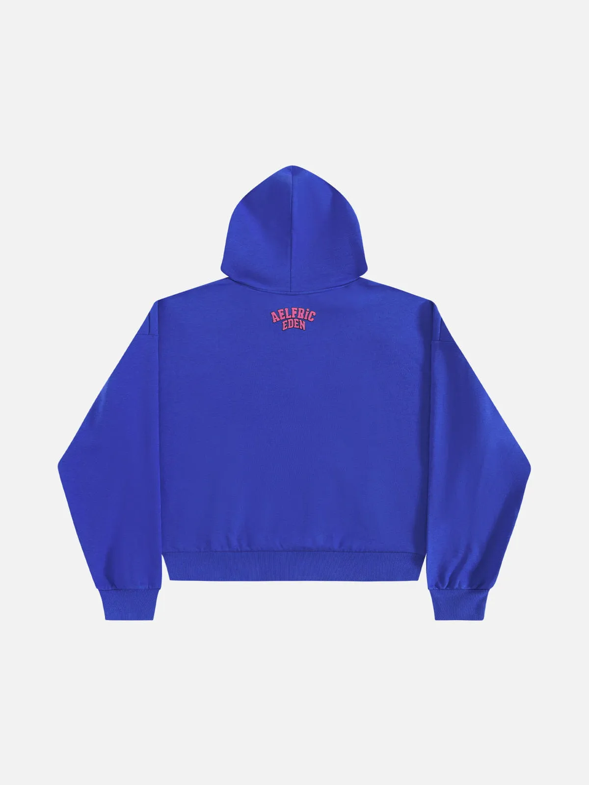 Aelfric Eden Boxy Flower Graphic Pullover Hoodie sold by Aelfric Eden product image thumbnail 2