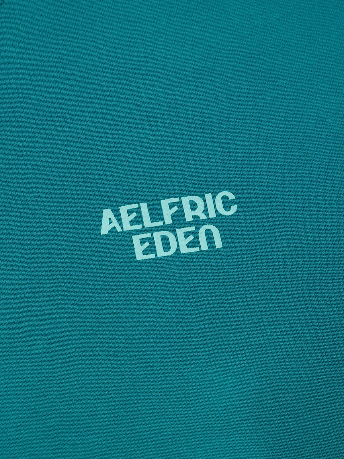 Aelfric Eden Boxy Print Pullover Hoodie sold by Aelfric Eden product image thumbnail 4