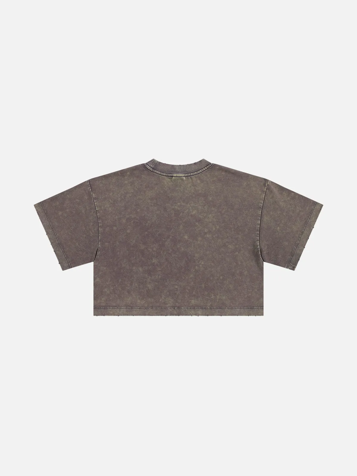 Aelfric Eden Washed Cropped Rock Print Tee sold by Aelfric Eden product image thumbnail 2