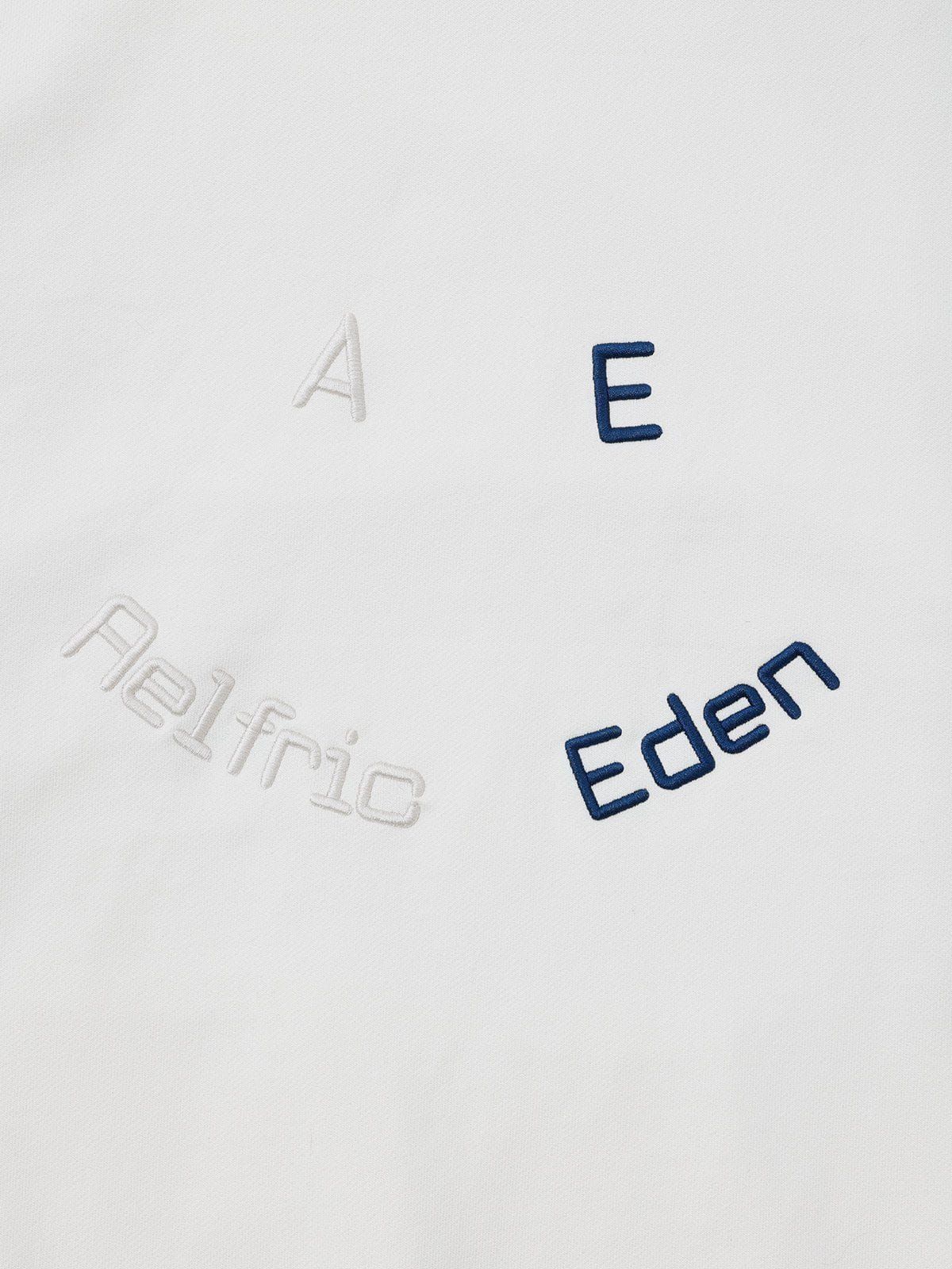 Aelfric Eden Color Blocking Embroidery Hoodie sold by Aelfric Eden product image thumbnail 3