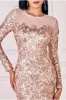 Floral Sequin Mesh Maxi - Champagne by Goddiva sold by Goddiva