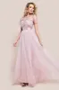 Embroidered Mesh Maxi Dress - Blush by Goddiva sold by Goddiva