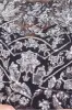 Goddiva Modesty Sequin Embroidered Maxi Dress - Silver sold by Goddiva