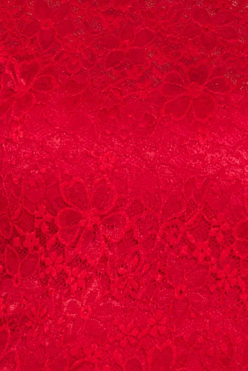 Flutter Sleeve Lace A-Line Maxi Dress - Red by Goddiva sold by Goddiva product image thumbnail 4