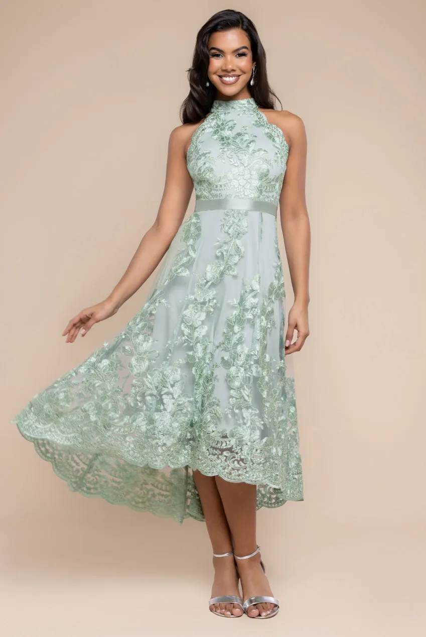 Halter Neck Lace High And Low Dress - Sage Green by Goddiva sold by Goddiva