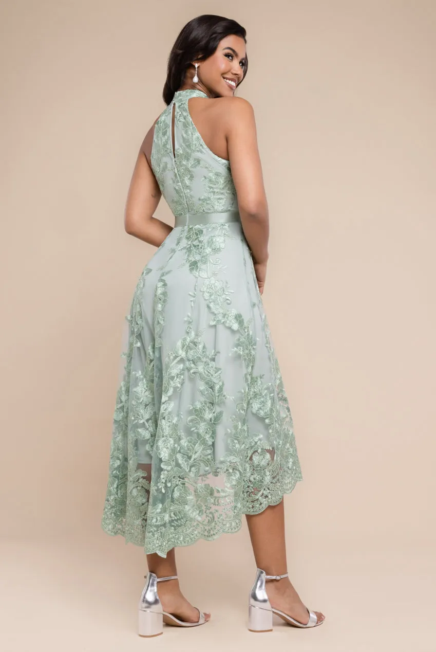 Halter Neck Lace High And Low Dress - Sage Green by Goddiva sold by Goddiva product image thumbnail 2