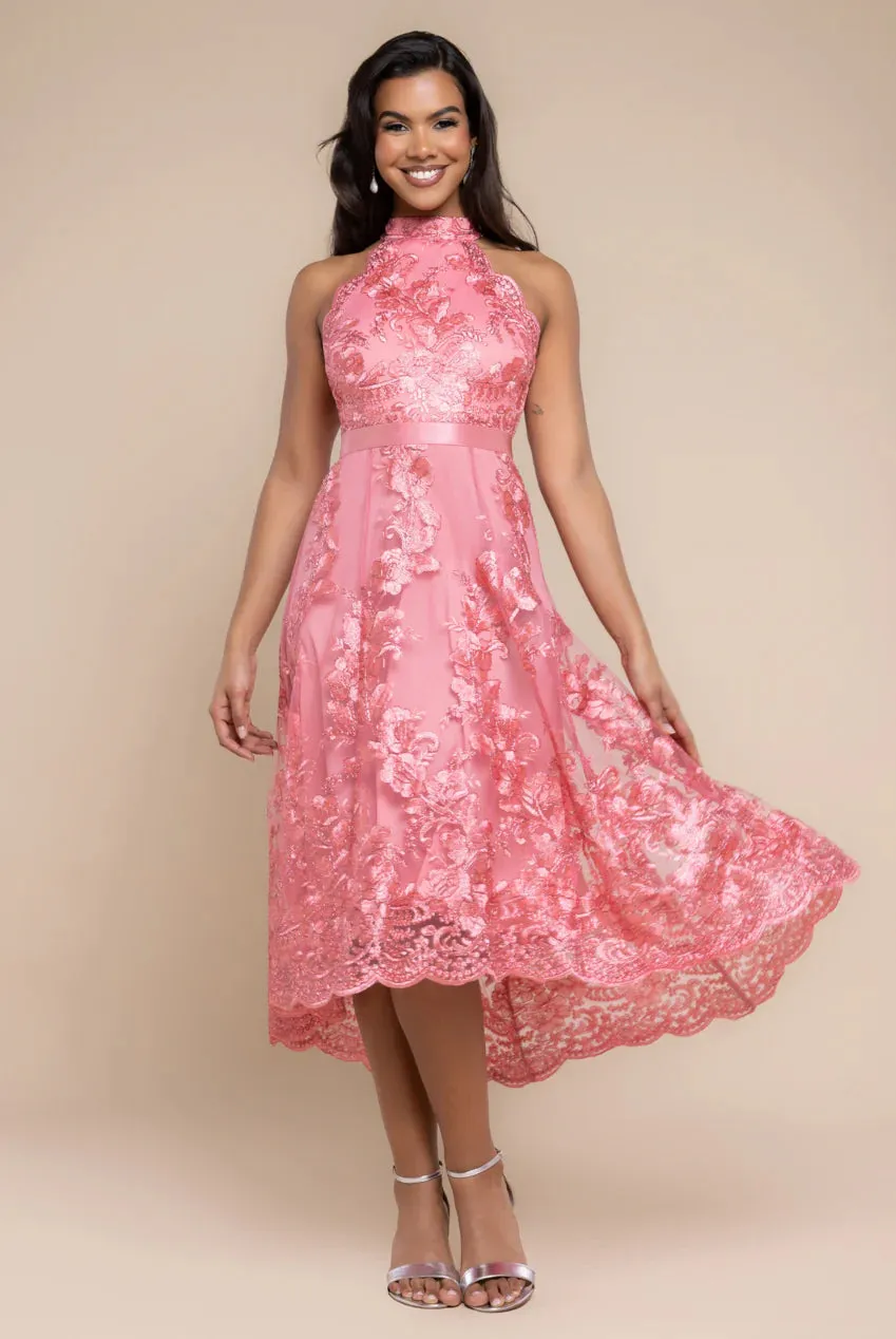 Halter Neck Lace High And Low Dress - Coral by Goddiva sold by Goddiva