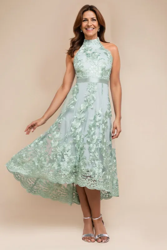 Halter Neck Lace High And Low Dress - Sage Green by Goddiva sold by Goddiva