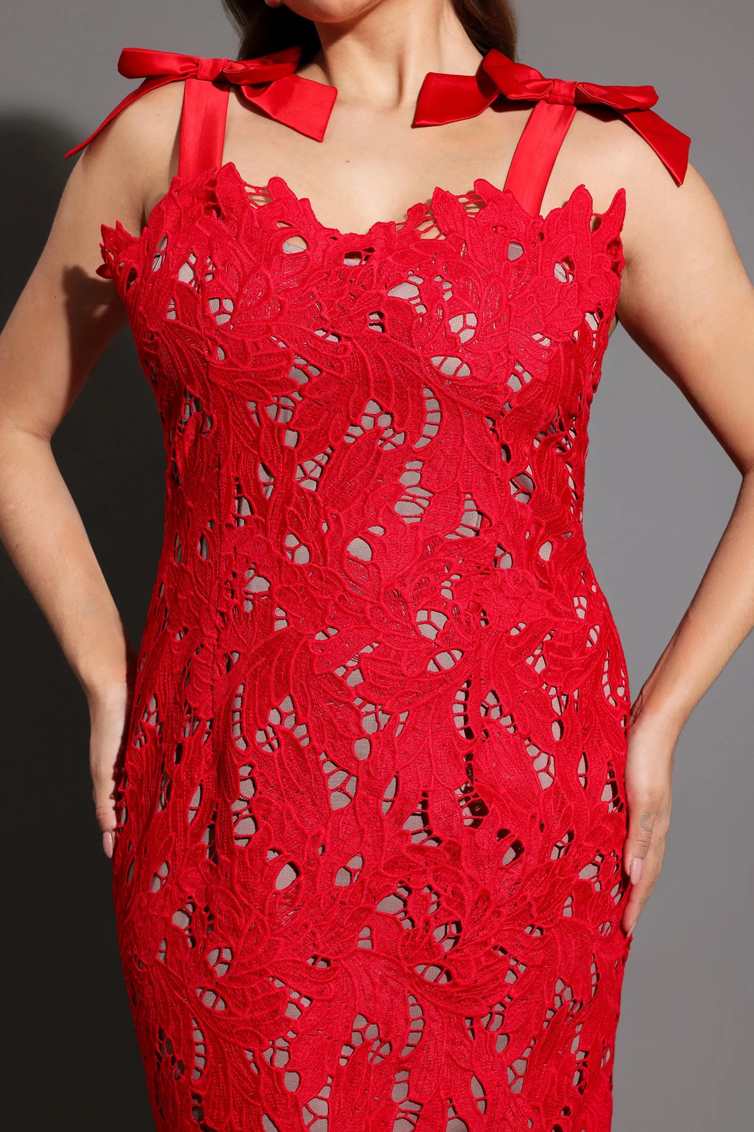 Teela Bows Lace Sleeveless Maxi Dress by Bella Barnett sold by Goddiva product image thumbnail 5