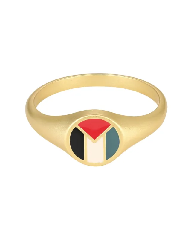 Pali Flag Signet Ring Gold made by PaliRoots