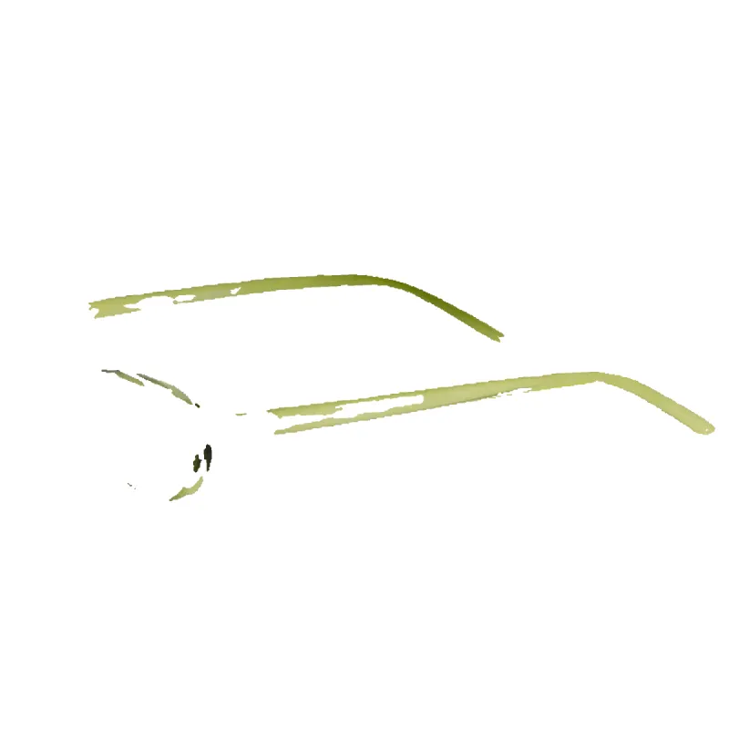 Svelte Sunglasses in Green made by Petals and Peacocks