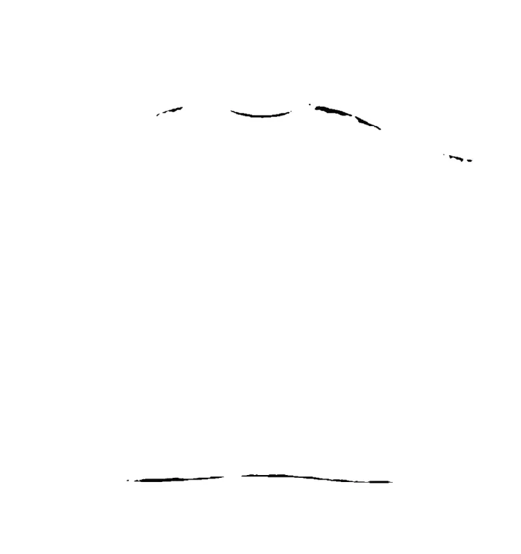 Skulls Everywhere Black Tee sold by Petals and Peacocks