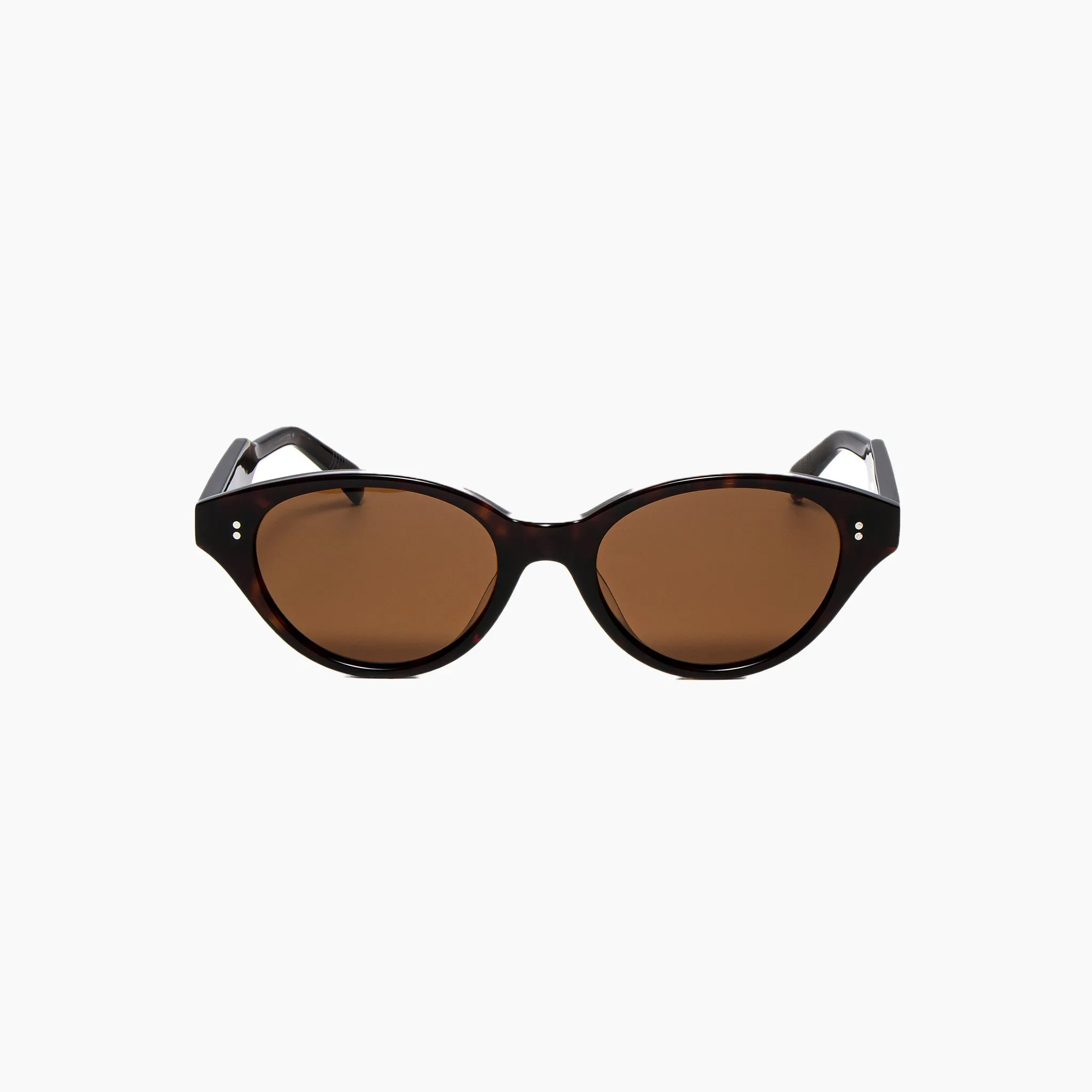 GERI TORTOISE sold by Hobbyism