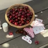 Big Effing Clip in Cherry Gingham sold by Emi Jay