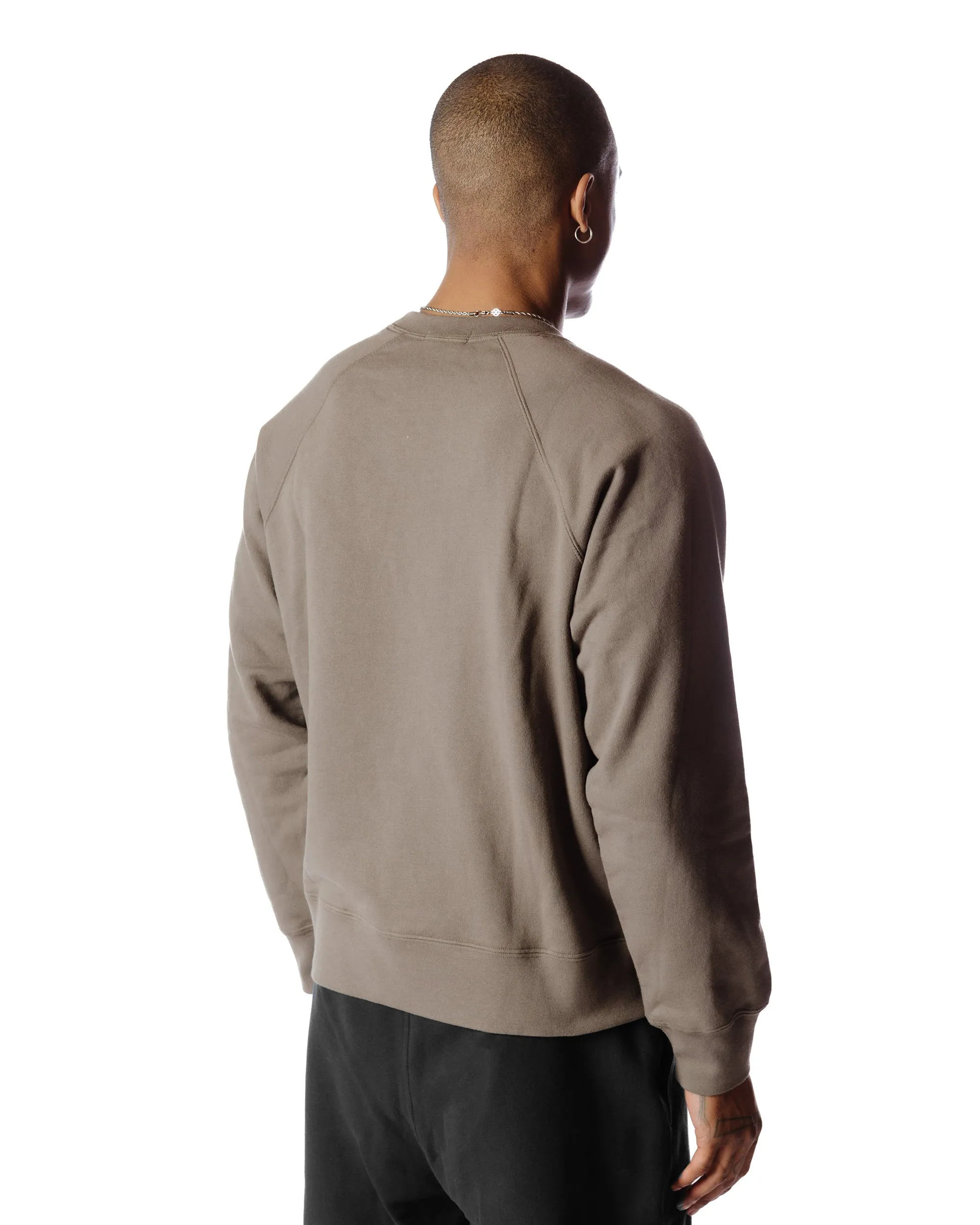 Body of Work Aster Raglan Sweatshirt Clay sold by Lost & Found product image thumbnail 4