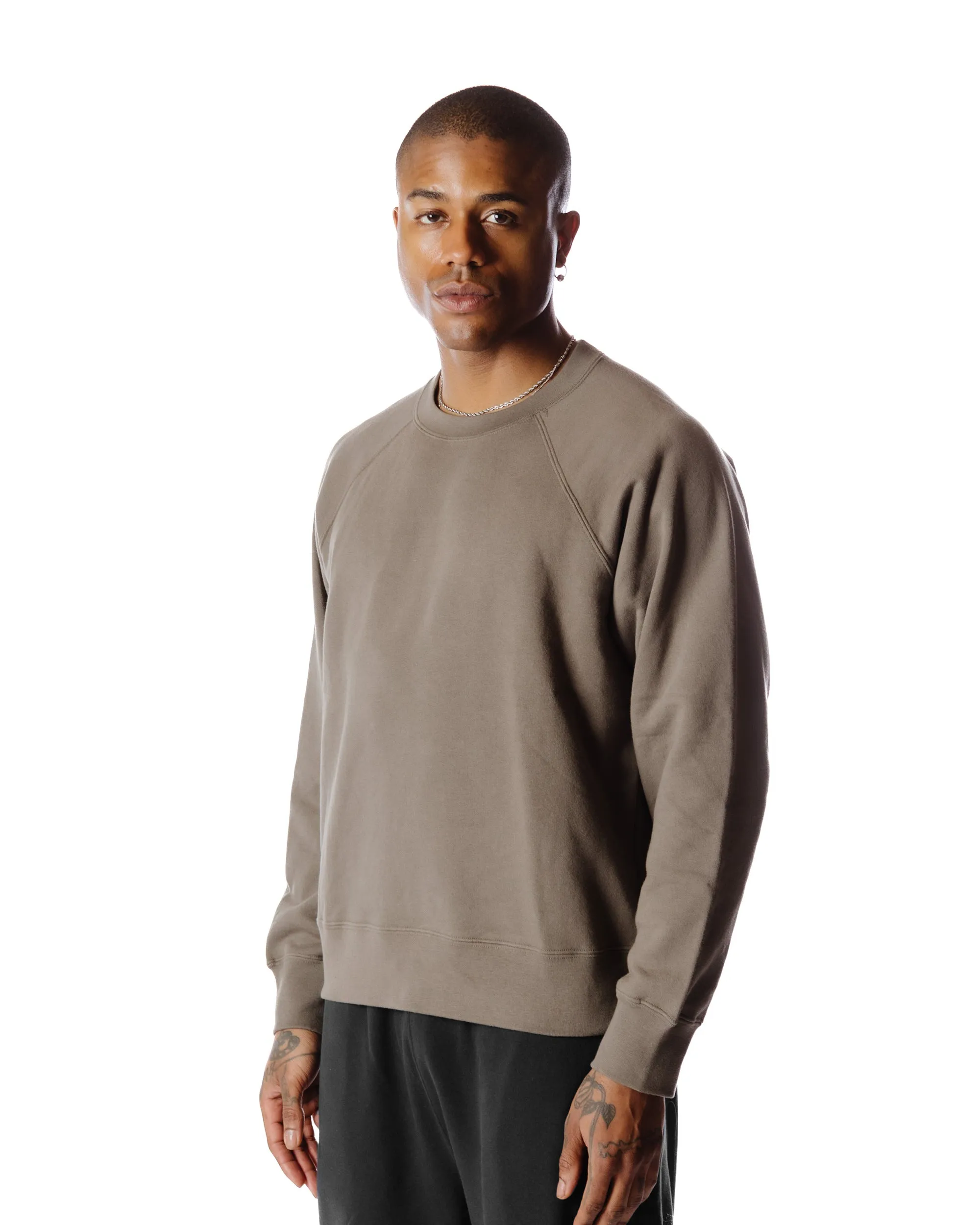 Body of Work Aster Raglan Sweatshirt Clay sold by Lost & Found product image thumbnail 3