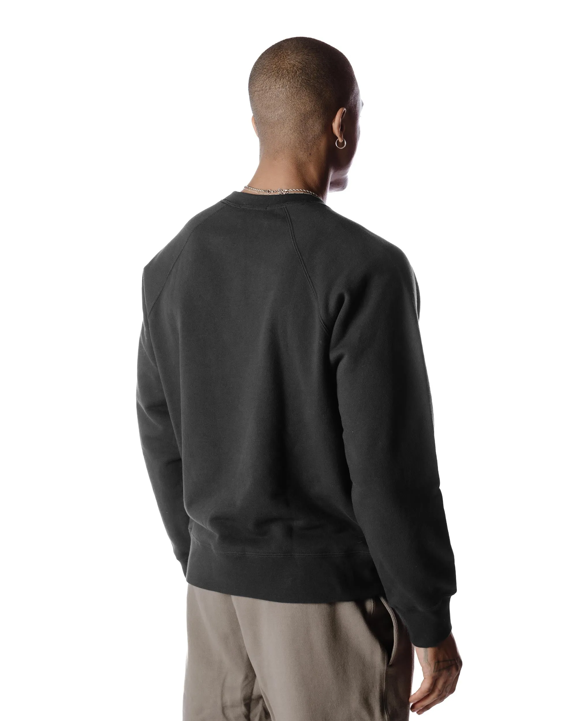 Body of Work Aster Raglan Sweatshirt Shale sold by Lost & Found product image thumbnail 4
