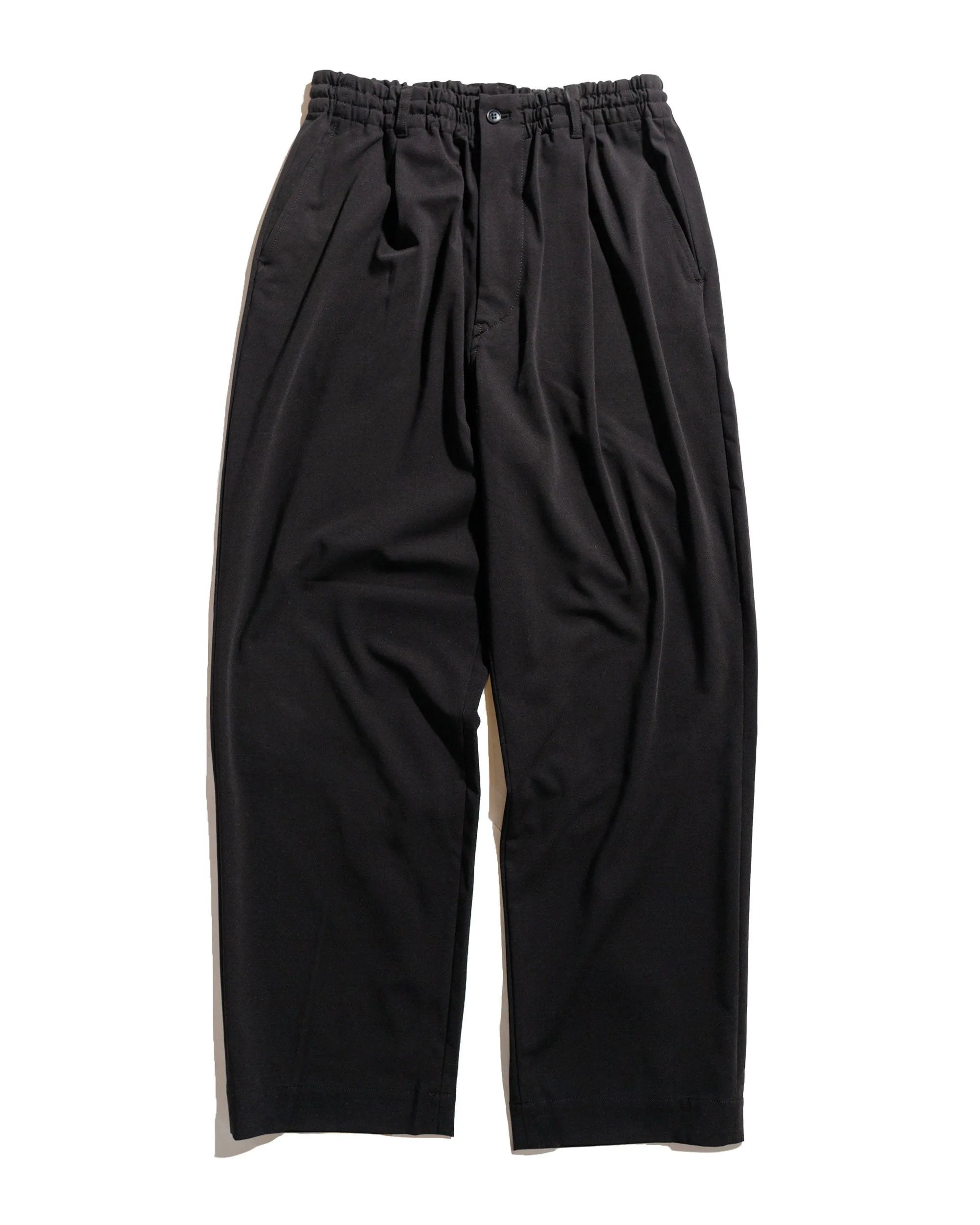 Sage de Cret Polyester/Rayon Twill Single Pleated Wide Pants Black sold by Lost & Found