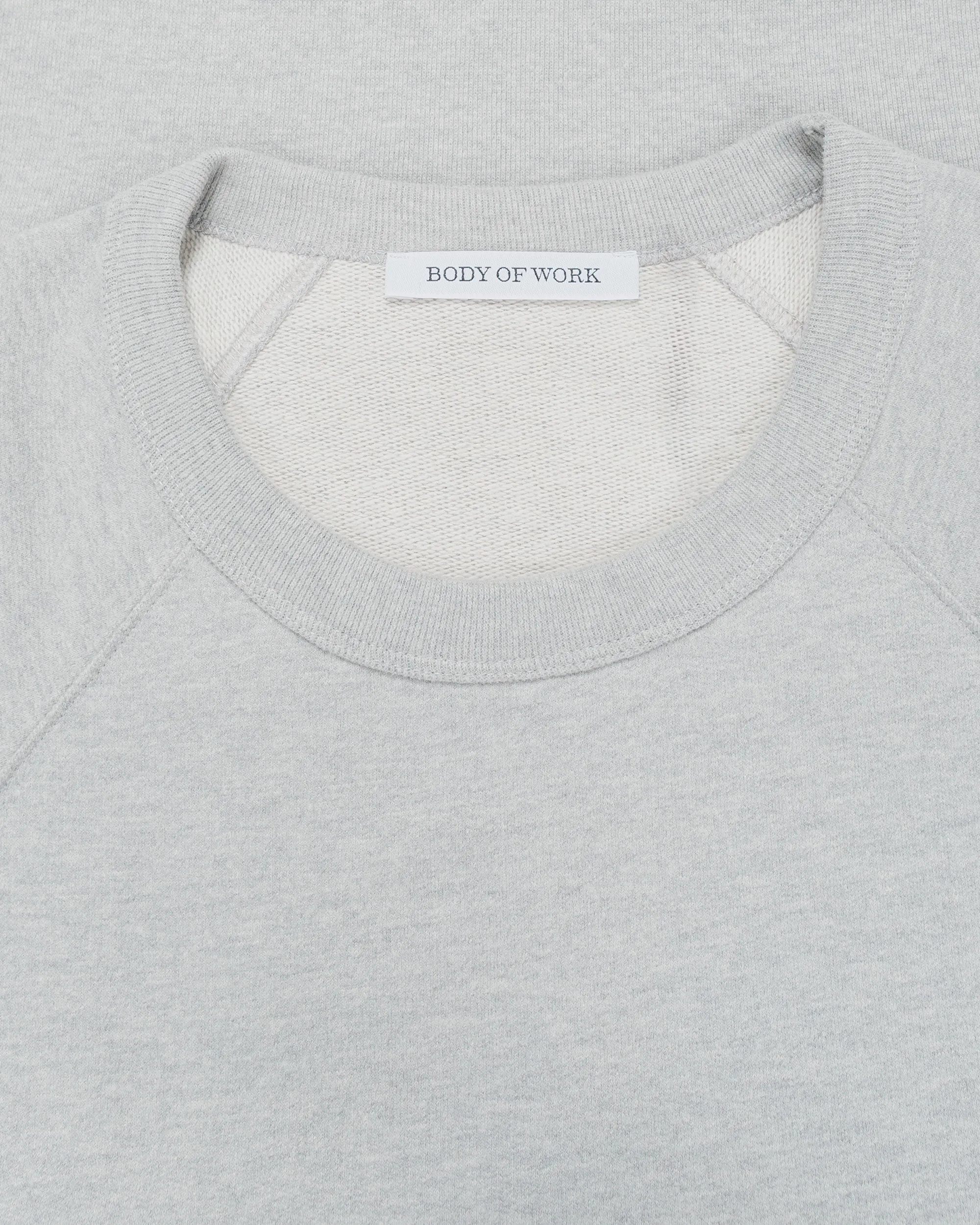 Body of Work Aster Raglan Sweatshirt Heather Grey sold by Lost & Found product image thumbnail 4