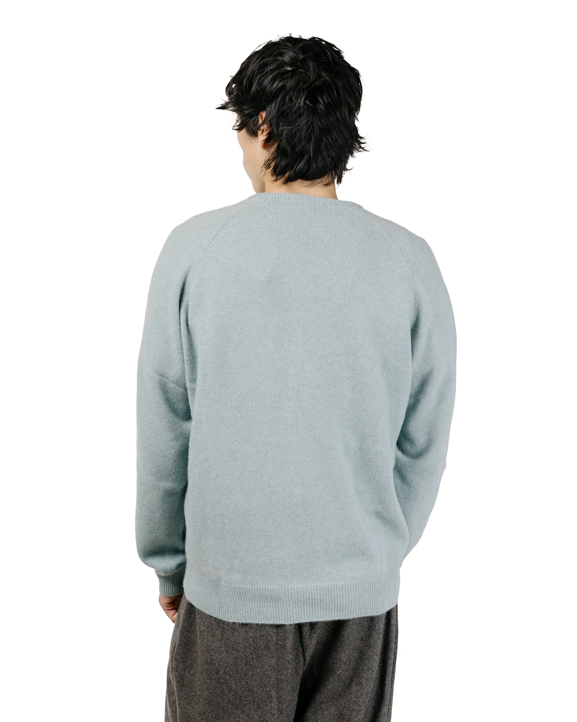 Amomento Racoon V-Neck Knit Mint sold by Lost & Found product image thumbnail 4