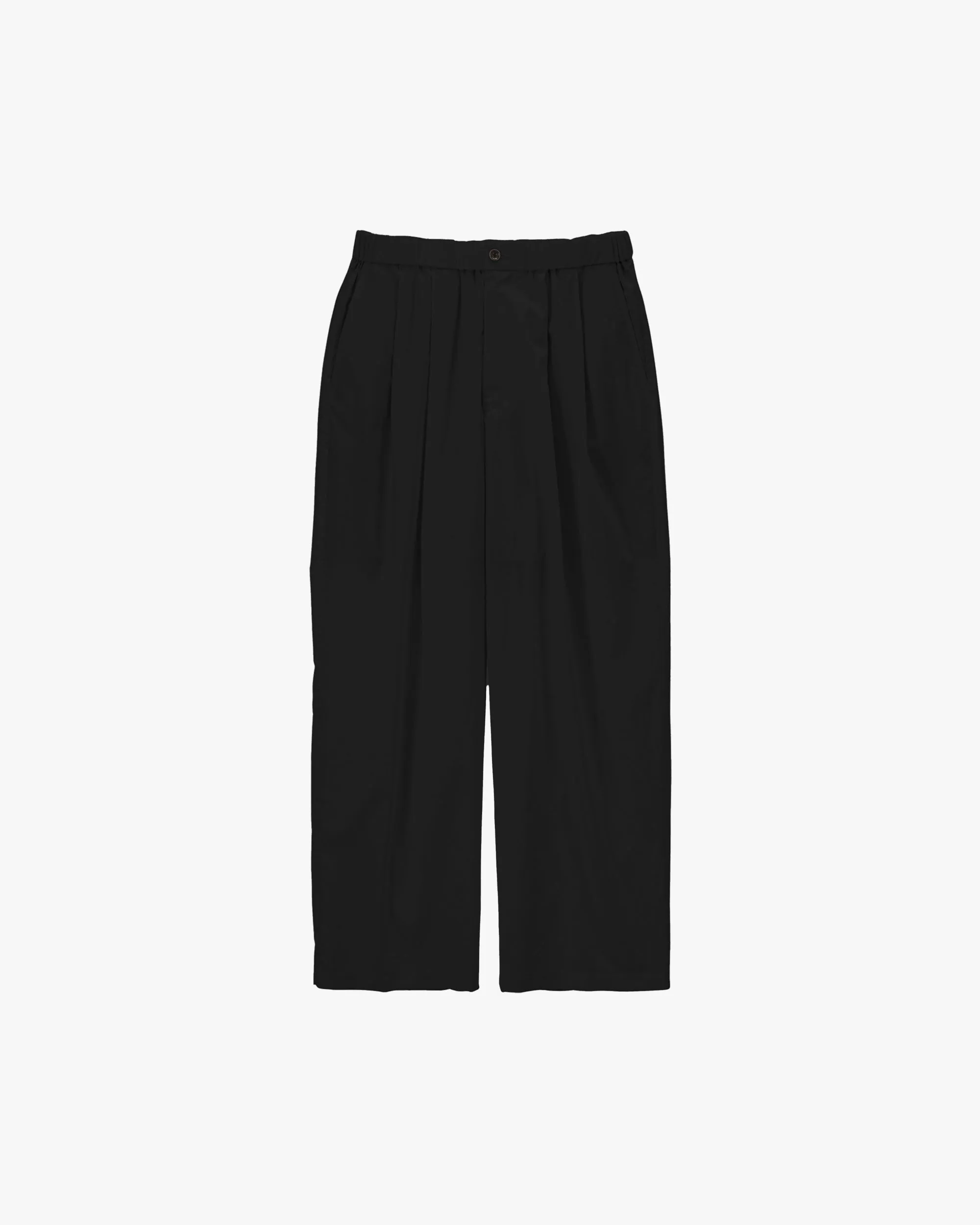 Silicon Poplin Two Tuck Easy Pants sold by Graphpaper product image thumbnail 4