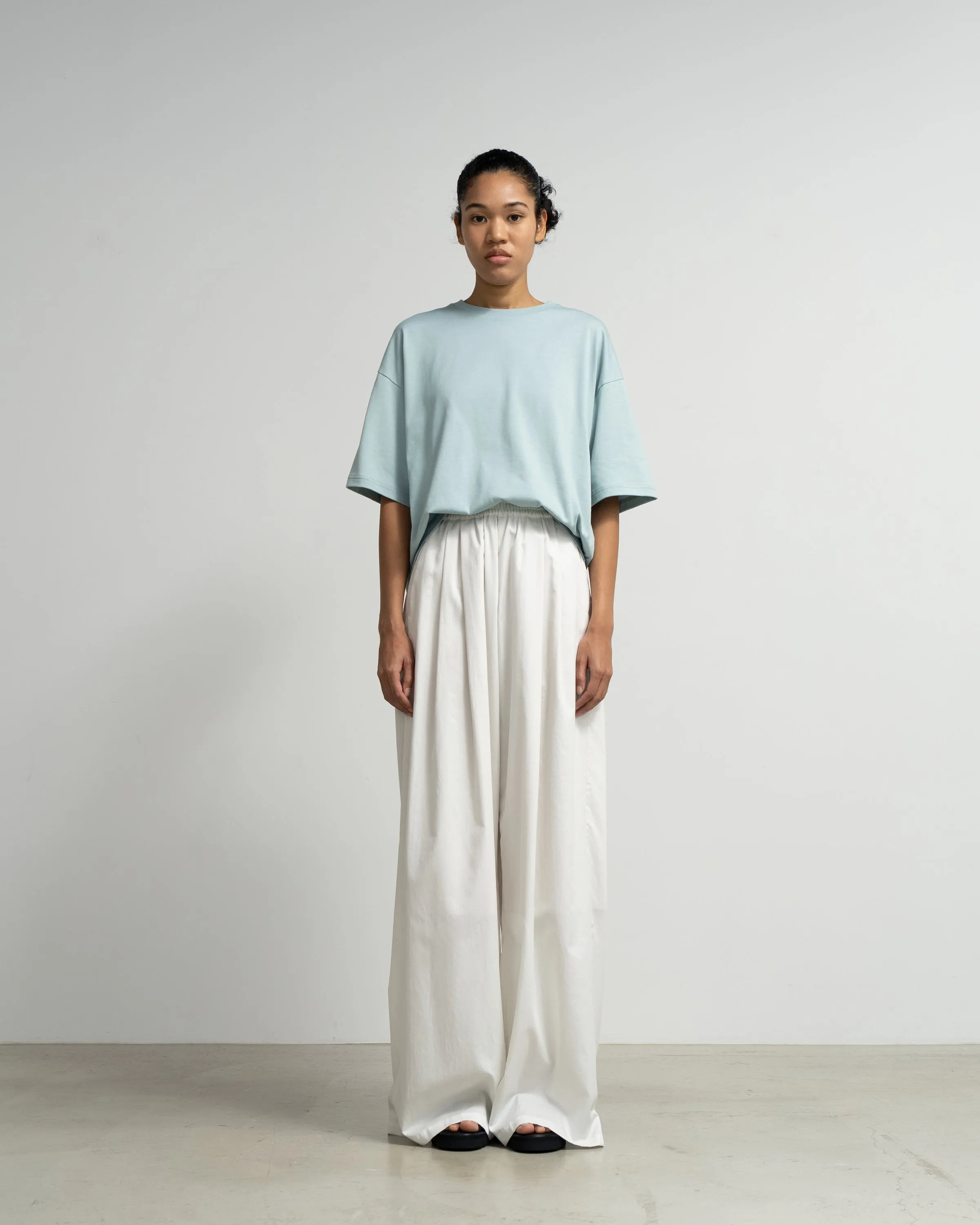 Silicon Poplin Two Tuck Easy Wide Pants sold by Graphpaper product image thumbnail 5