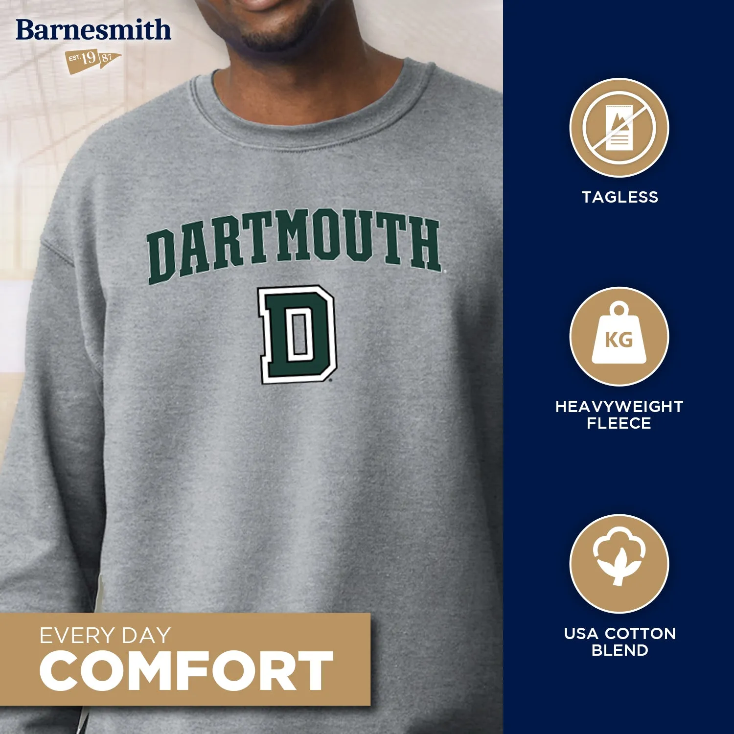 Dartmouth College Spirit Sweatshirt (Grey) sold by Ivy Sport product image thumbnail 3