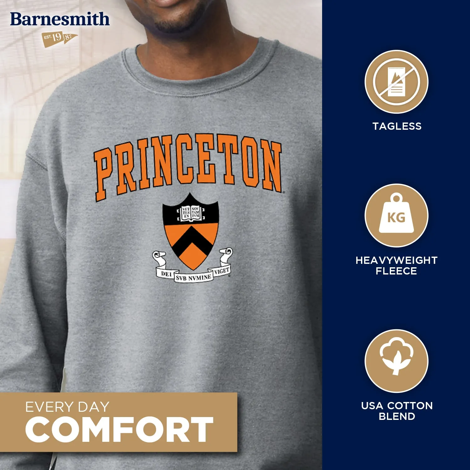 Princeton Heritage Sweatshirt II (Grey) sold by Ivy Sport product image thumbnail 3